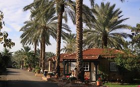باتاي نوريت
